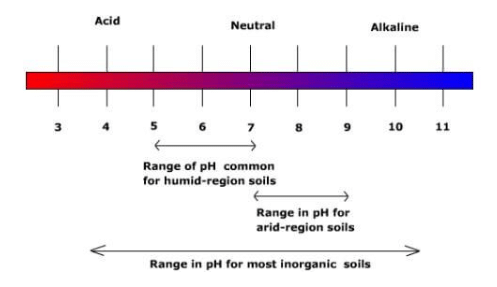 Properties of Soil: Physical, Chemical & Biological - 2 | Agriculture Optional for UPSC