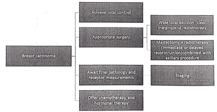 Breast | Medical Science Optional Notes for UPSC