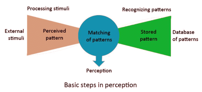The Individual Processes: Perception | NABARD Grade A & Grade B Preparation - Bank Exams