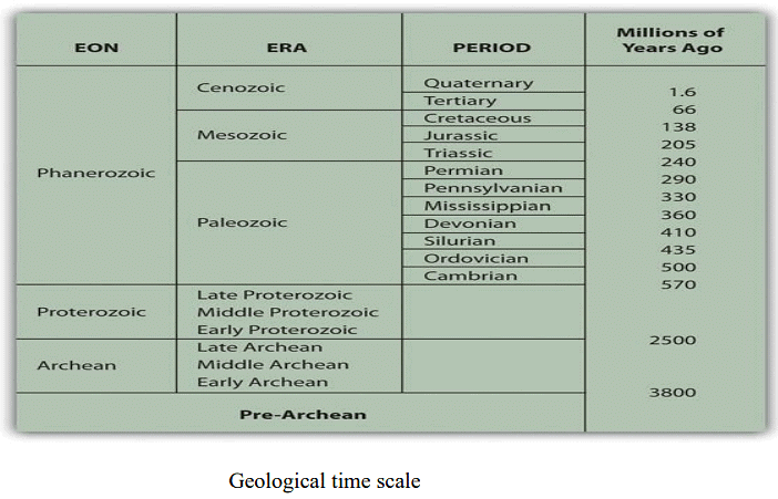 Type of Fossils and their Study Techniques | Botany Optional for UPSC