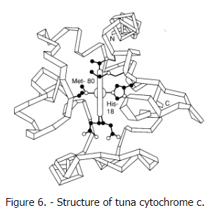 Electron Transfer Cytochromes and Ferredoxins - Chemistry Optional Notes