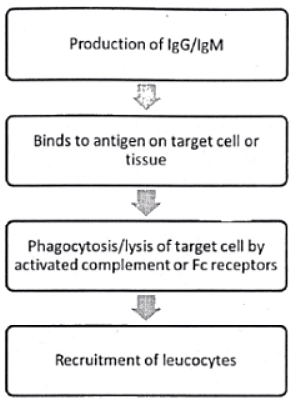 Immunology | Medical Science Optional Notes for UPSC