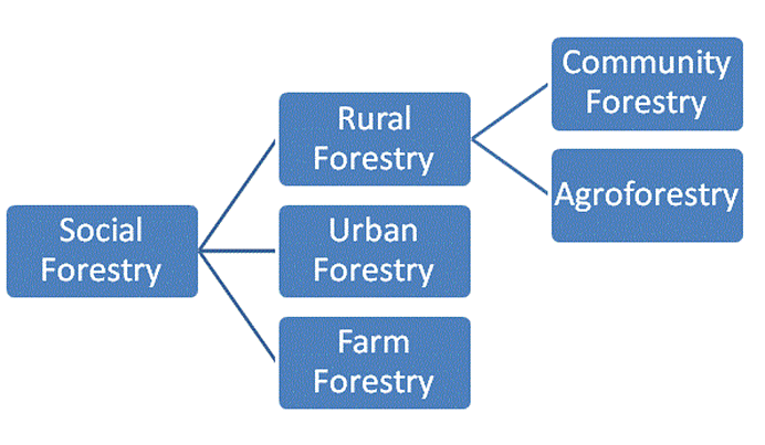Agro and Social-Forestry | Geography Optional for UPSC