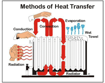 Thermoregulatory Physiology | Zoology Optional Notes for UPSC