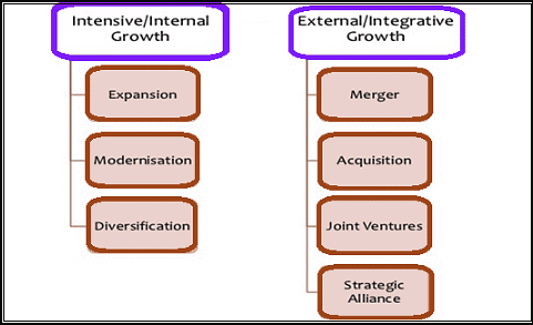 Growth Strategies | Management Optional Notes for UPSC