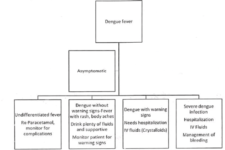 Management of Dengue