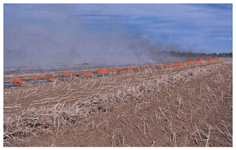 Methods of Weed Control | Agriculture Optional for UPSC