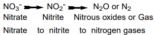 What Happens to Nitrogen in Soils? - 2 | Agriculture Optional for UPSC