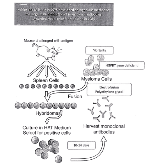 Immunology | Medical Science Optional Notes for UPSC