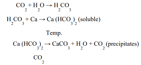 Soil Forming Processes - 1 | Agriculture Optional for UPSC