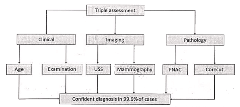 Breast | Medical Science Optional Notes for UPSC
