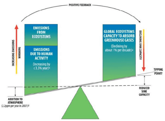 Ecosystems Their Management & Conservation | Geography Optional for UPSC