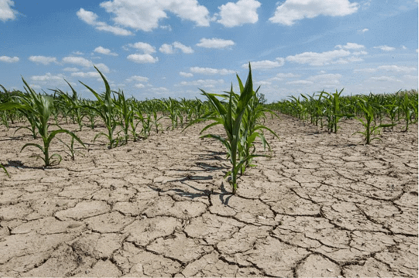 Ecological Issues: Environmental Hazards: Landslides, Earthquakes, Tsunamis, Floods & Droughts -2 | Geography Optional for UPSC (Notes)