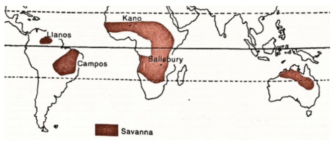Weather & Climate | Geography Optional for UPSC