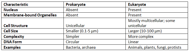 Prokaryotic and Eukaryotic Cells | Botany Optional for UPSC
