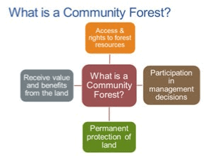 Social Forestry & Agroforestry | Geography Optional for UPSC