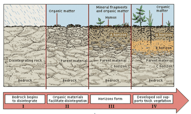 Genesis of Soils | Geography Optional for UPSC