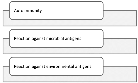 Hypersensitivity Reactions | Medical Science Optional Notes for UPSC