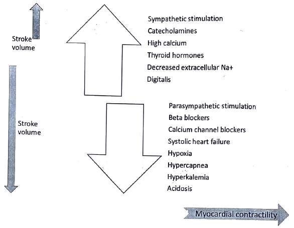 Cardiovascular System | Medical Science Optional Notes for UPSC