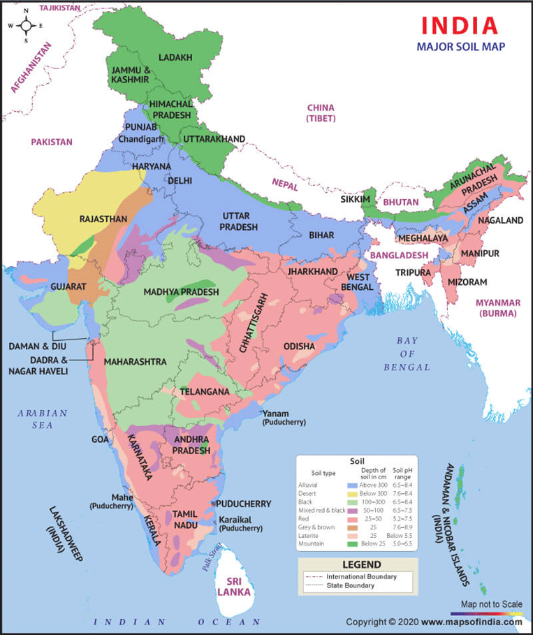 Soil Pattern of India