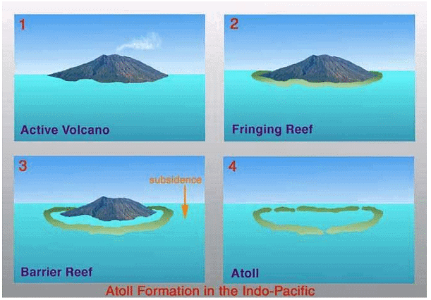 Coral Reefs & Coral Bleaching | Geography Optional for UPSC