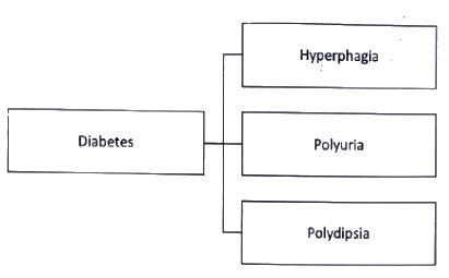 Hormones | Medical Science Optional Notes for UPSC