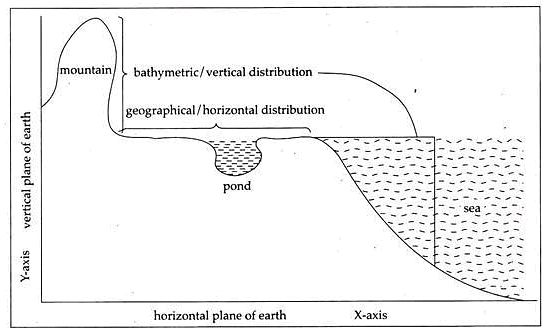 Continental Drift and Distribution of Animals | Zoology Optional Notes for UPSC