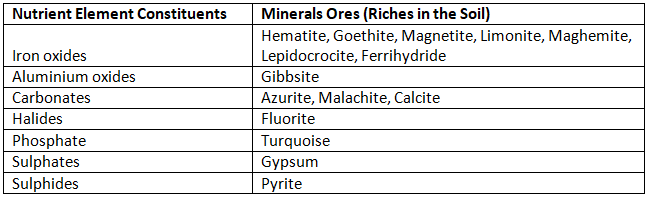 Mineral and Organic Constituents of Soils and their Role | Agriculture Optional for UPSC