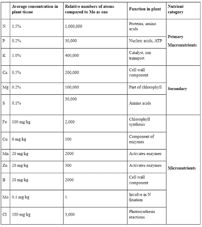 Essential Plant Nutrients | Agriculture Optional for UPSC