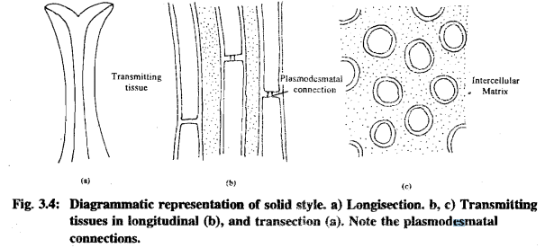 Pollination & Fertilization | Botany Optional for UPSC