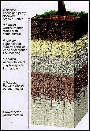 Weathering and Soil Formations | Geology Optional for UPSC