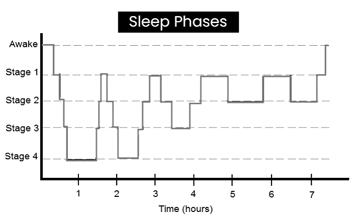 Study of Consciousness Sleep Wake Schedules | Psychology for UPSC Optional (Notes)
