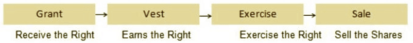 Employee Stock Option and Buy-Back of Securities | Commerce & Accountancy Optional Notes for UPSC