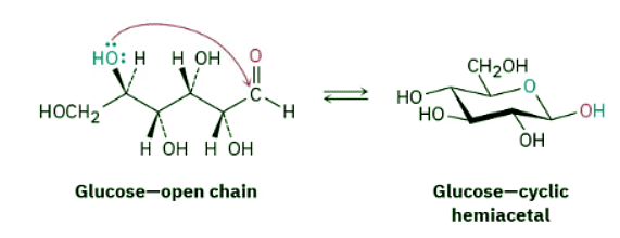 Nucleophilic Addition of Alcohols- Acetal Formation | Chemistry Optional Notes for UPSC