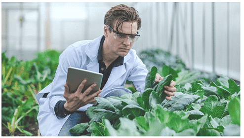 Somaclonal Variation and its Applications | Botany Optional for UPSC