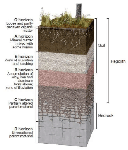 Soil profile | Geography Optional for UPSC