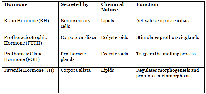 Arthropoda: Metamorphosis in insects and its hormonal regulation | Zoology Optional Notes for UPSC