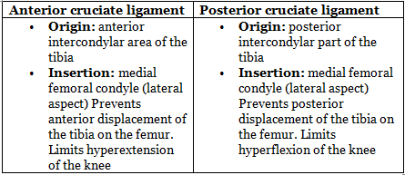 Knee Joint | Medical Science Optional Notes for UPSC
