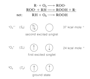 Photochemical reactions of simple organic compounds | Chemistry Optional Notes for UPSC