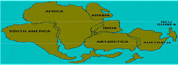 Continental Drift and Distribution of Animals | Zoology Optional Notes for UPSC