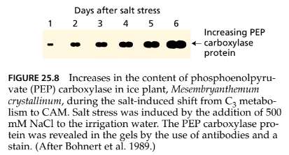 Stress Physiology | Botany Optional for UPSC