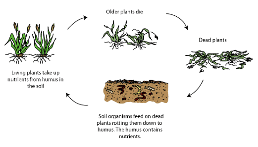 Properties of Soil: Physical, Chemical & Biological - 2 | Agriculture Optional for UPSC