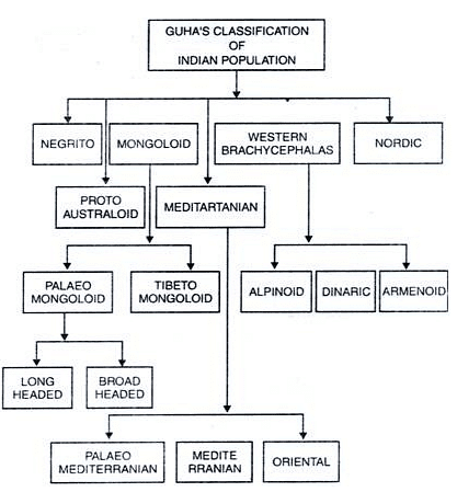 Racial Linguistic & Ethnic Diversity | Geography Optional for UPSC (Notes)