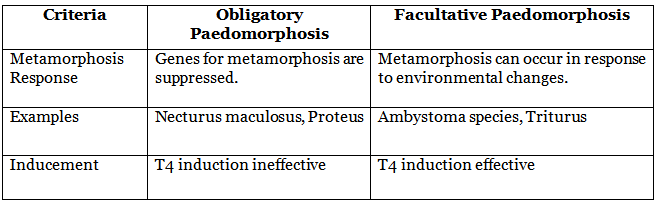Amphibia: Paedomorphosis | Zoology Optional Notes for UPSC