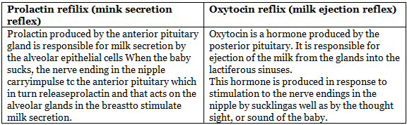 Lactation | Medical Science Optional Notes for UPSC