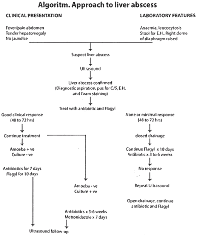 Liver Abscess | Medical Science Optional Notes for UPSC