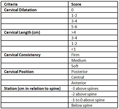 Induction of Labour | Medical Science Optional Notes for UPSC