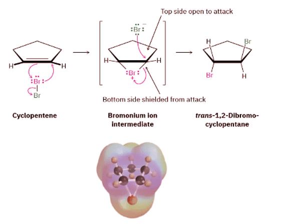 Halogenation of Alkenes - Addition of X₂ | Chemistry Optional Notes for UPSC