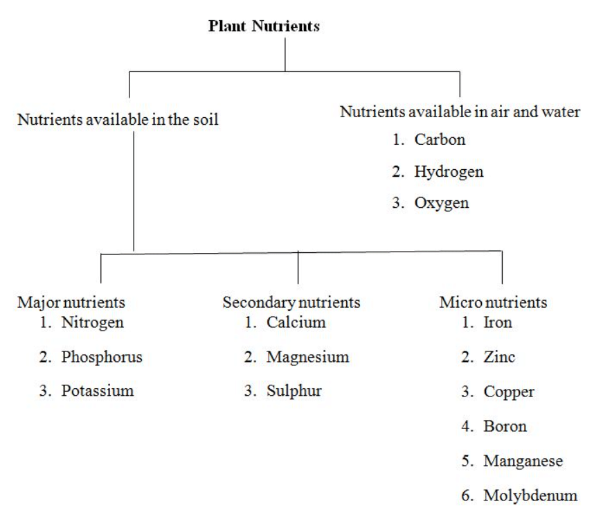 Essential Plant Nutrients | Agriculture Optional for UPSC