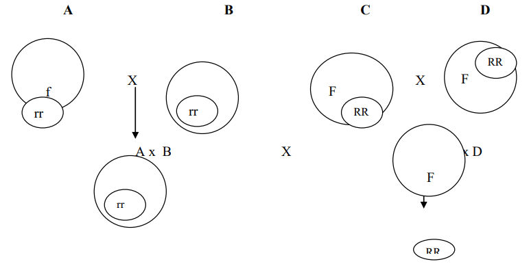 Incompatibility and Male Sterility and their Utilization in Crop Improvement - 2 | Agriculture Optional for UPSC